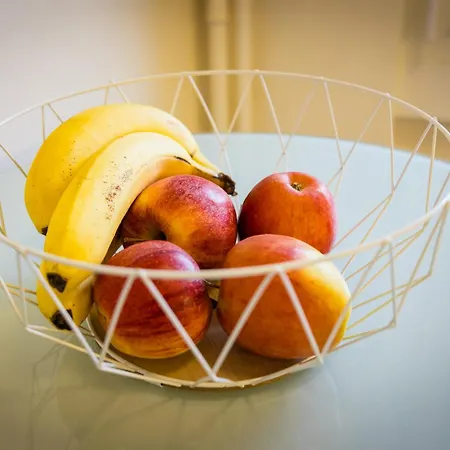 Swiss Flat Apartment Lausanne