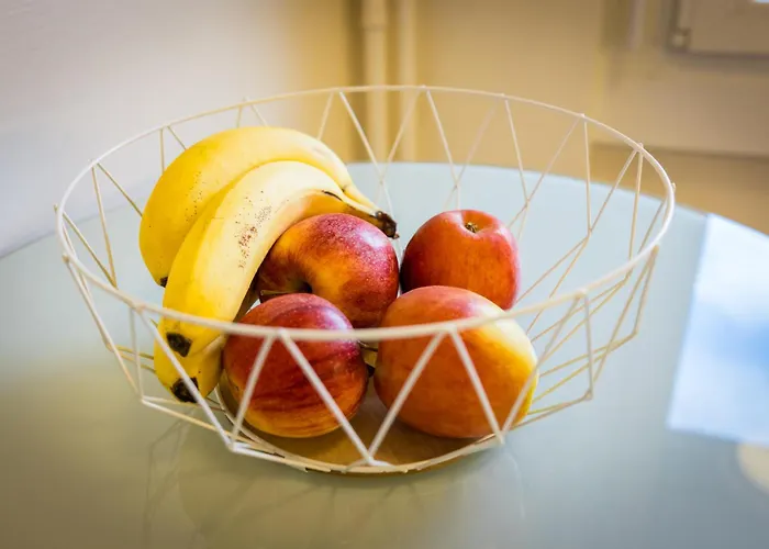 Swiss Flat Apartment Lausanne